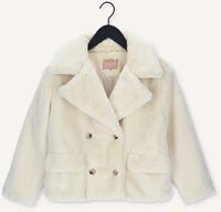 Witte JOSH V Jack GIGI Witte JOSH V Jack GIGI - medium