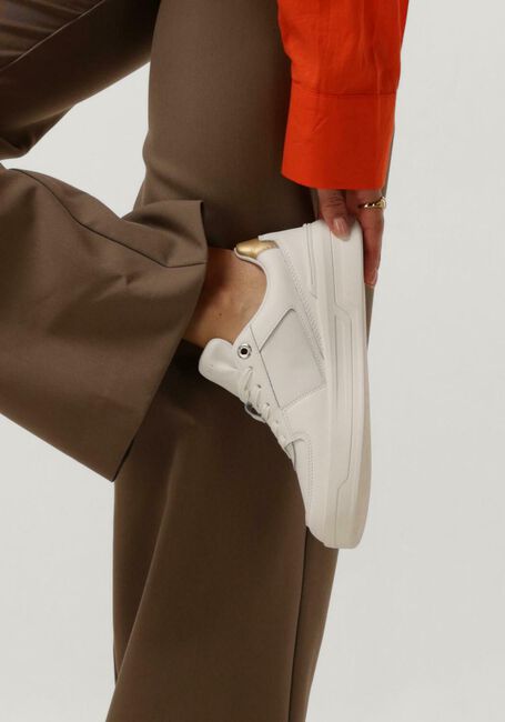 Witte TOMMY HILFIGER Lage sneakers ESSENTIAL BASKET SNEAKER Witte TOMMY HILFIGER Lage sneakers ESSENTIAL BASKET SNEAKER - large