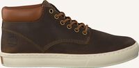 Bruine TIMBERLAND Hoge sneakers ADVENTURE 2.0 CUPSOLE CHUKKA - medium