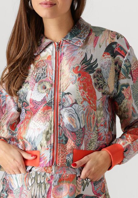 Multi STUDIO AMAYA Jack HAILEY - large