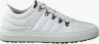 Witte HINSON DEXTER HIKING Sneakers - medium