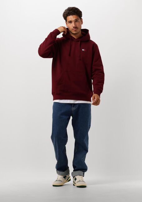 Paarse TOMMY JEANS Sweater TJM REG BADGE HOODIE EXT - large