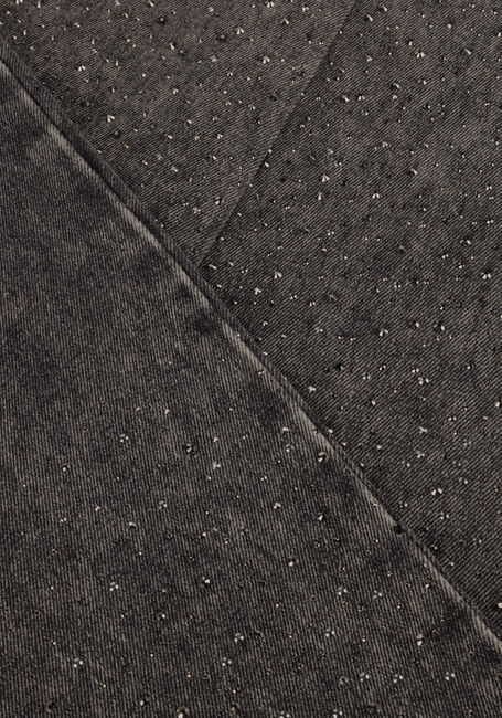 Grijze FREEBIRD Straight leg jeans MELODY Grijze FREEBIRD Straight leg jeans MELODY - large