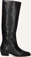 TORAL 12777 - medium