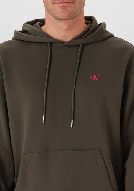 Grijze CALVIN KLEIN Sweater LS EU 350TERRY MONOGRAM HOODIE - large