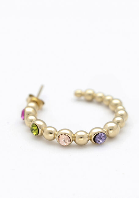 Goudkleurig NOTRE-V Oorbellen EARRING STONE MULTI - large