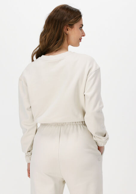 Creme CALVIN KLEIN Sweater TWO TONE MONOGRAM CROP CREW NECK - large