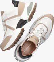 Witte ALEXANDER SMITH Lage sneakers MARBLE - medium