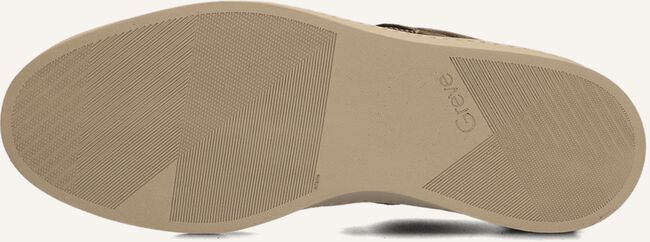 Bruine GREVE Lage sneakers WAVE 2220 Bruine GREVE Lage sneakers WAVE 2220 - large