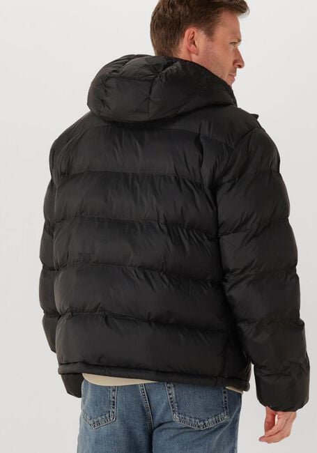 Zwarte CALVIN KLEIN Gewatteerde jas LS NYLON MONGRAM PUFFER JKT - large