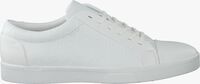 Witte CALVIN KLEIN Sneakers IGOR - medium