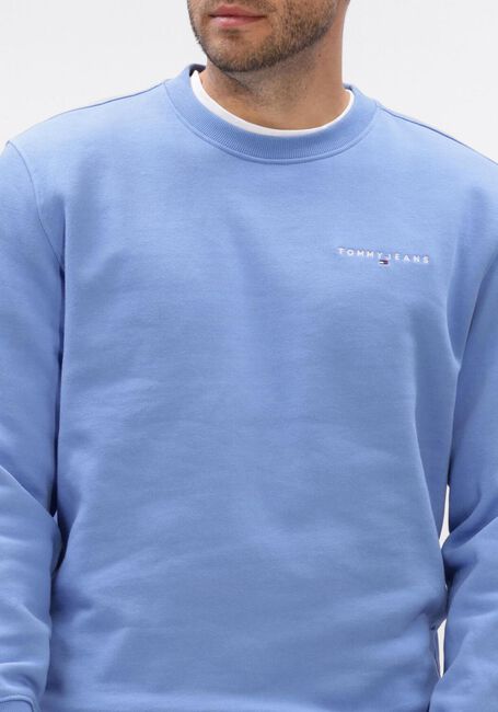 Beige TOMMY JEANS Sweater TJM REG LINEAR CREW EXT - large