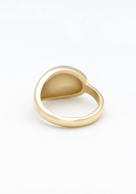 Goudkleurig NOTRE-V Ringen RING ORGANIC - large