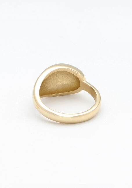 Gouden NOTRE-V Ring RING ORGANIC - large