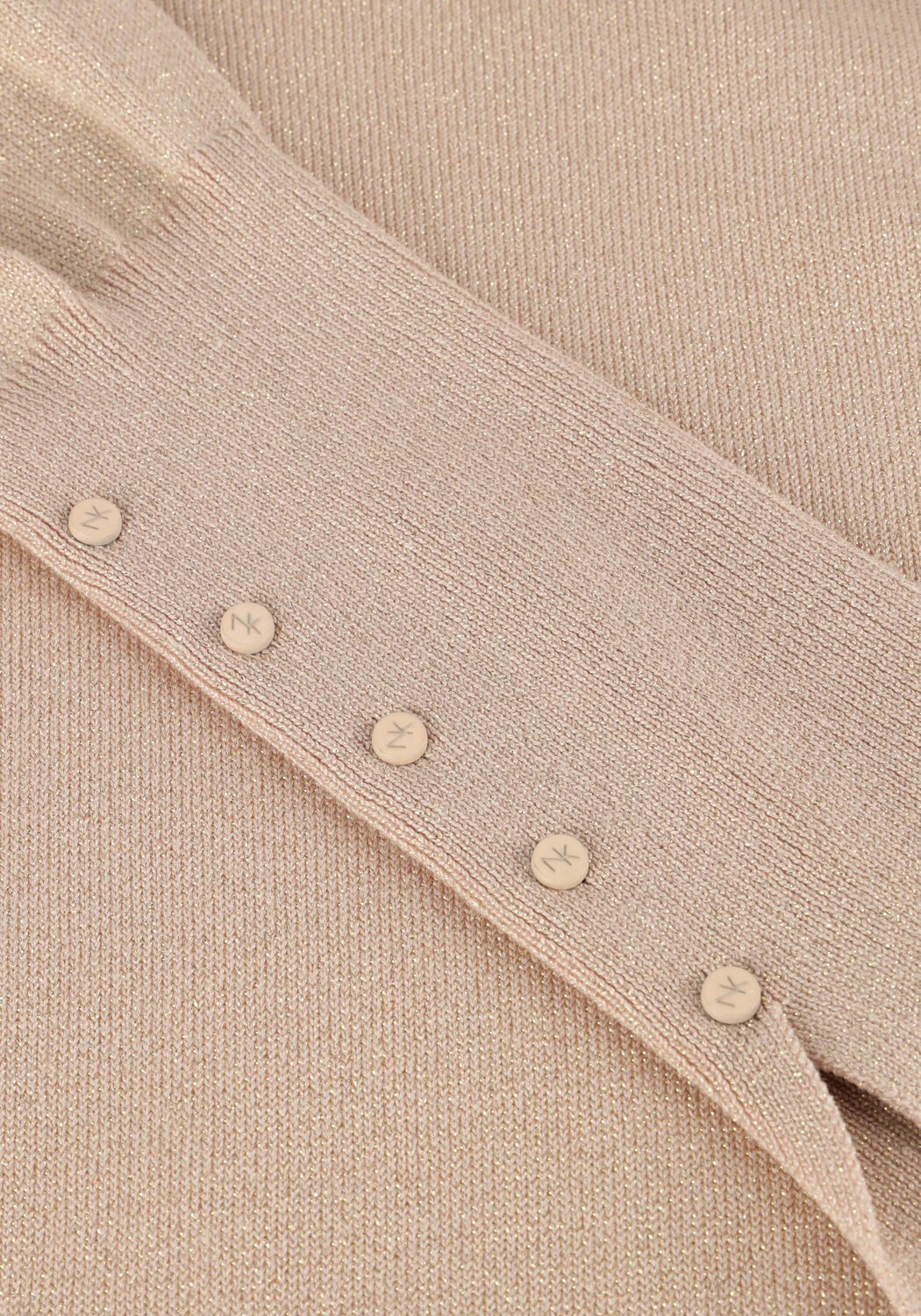 Roze NUKUS Coltrui SYLVIA PULLOVER LUREX - large