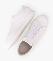 Witte PS POELMAN Lage sneakers NERO - medium