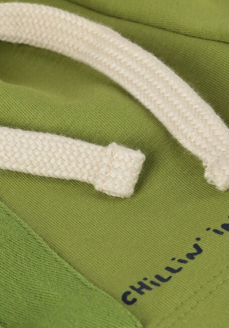 Groene YOUR WISHES Korte broek SOLID CARGO SHORTS - large