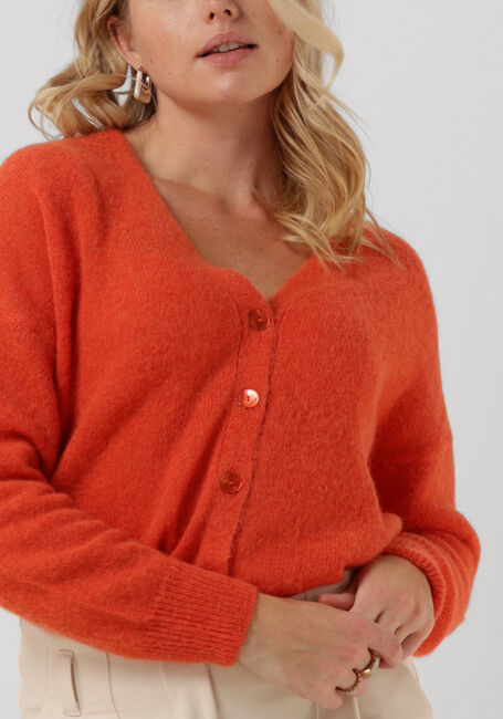 Oranje SUMMUM Vest CARDIGAN FEATHER LIGHT ALPACA KNIT - large