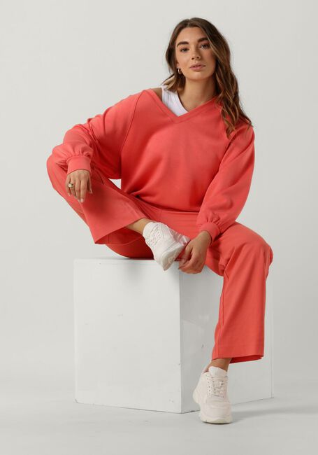 Roze MSCH COPENHAGEN Trui NELINA IMA Q RAGLAN V NECK SWEATSHIRT - large
