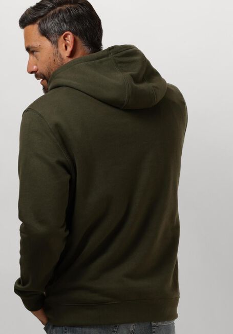 Groene TOMMY JEANS Truien/vesten TJM REG S FLAG HOODIE - large