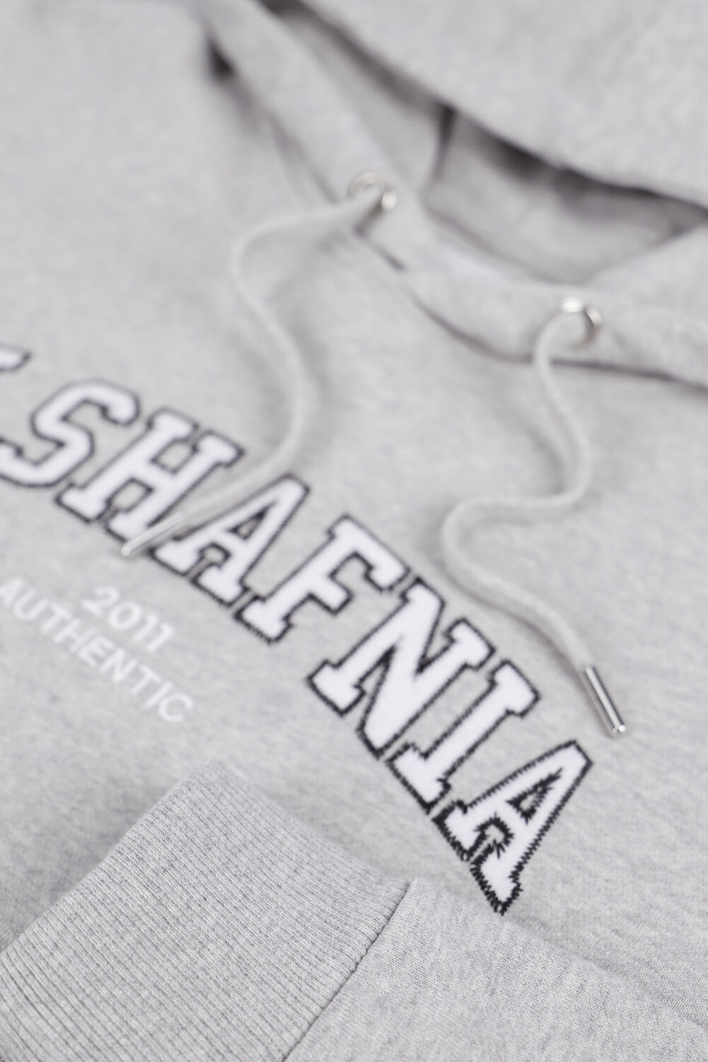 Lichtgrijze BLS HAFNIA Sweater VARSITY ARCH HOODIE - large