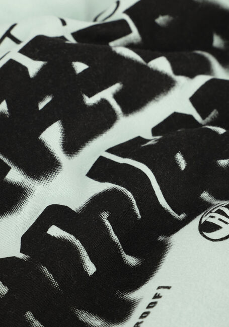 Groene RAIZZED Hoodies NEZAR - large