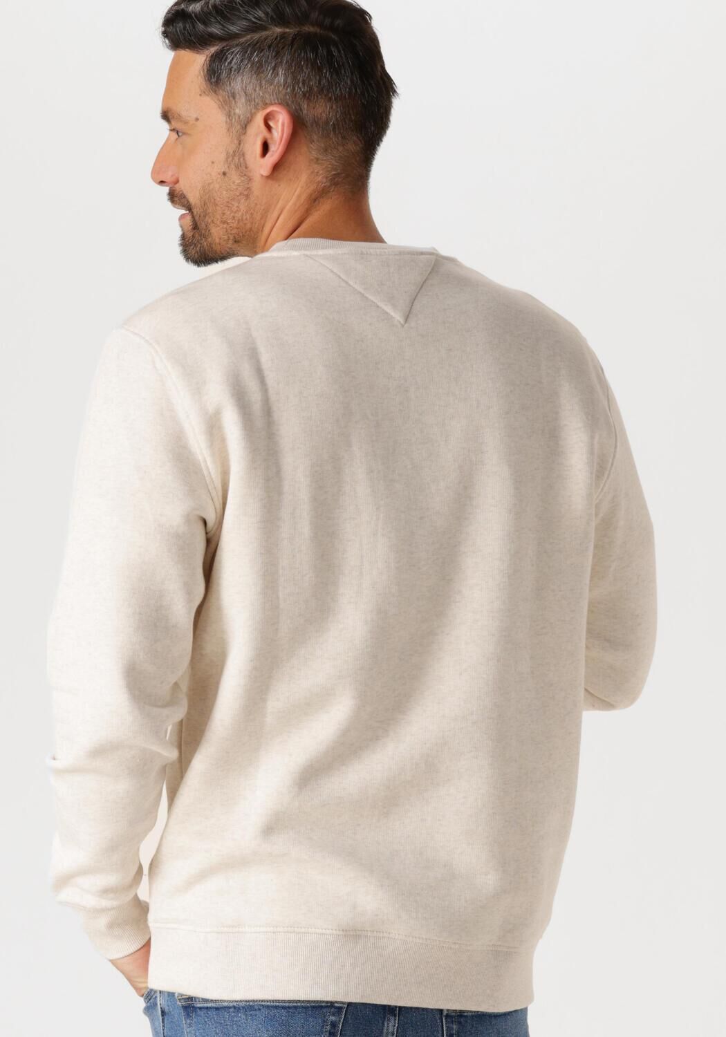 TOMMY JEANS Heren Truien & Vesten Tjm Reg Linear Crew Ext Beige