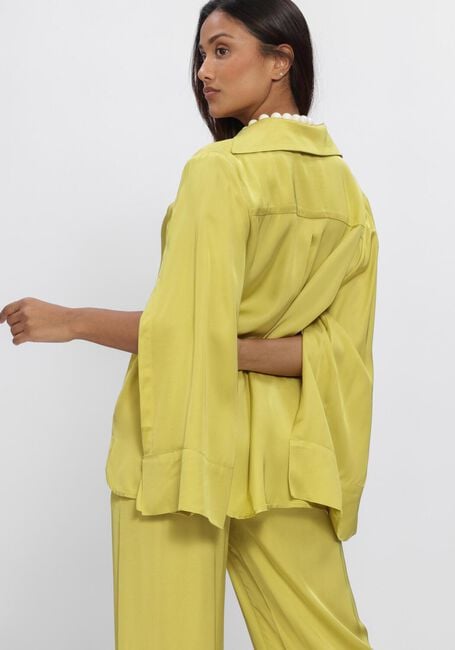 Groene NEMA Blouses N017 - large