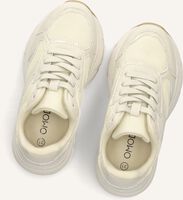 Witte OMODA Lage sneakers DAVINA Witte OMODA Lage sneakers DAVINA - medium