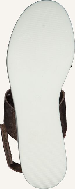 STEVE MADDEN Platte sandalen RACHEL  STEVE MADDEN Platte sandalen RACHEL - large