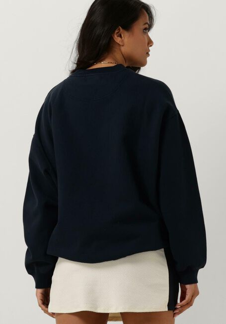 Blauwe DEBLON SPORTS Sweater PUCK SWEATER - large