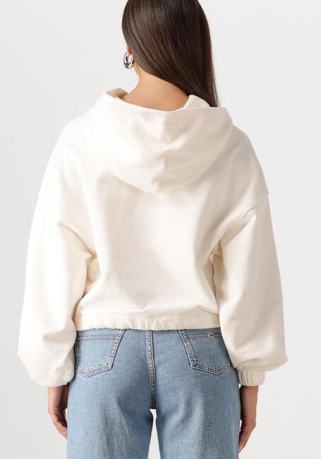 Ecru TOMMY JEANS Sweater TJW CRP GMD SCRIPT HOODIE - large