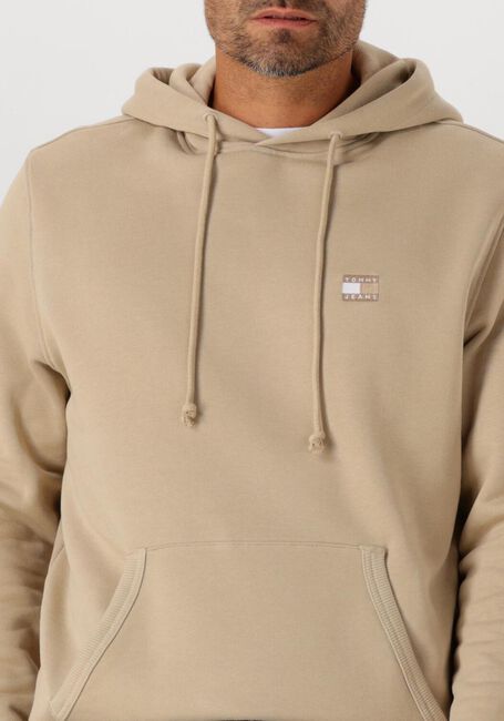 Beige TOMMY JEANS Trui TJM REG BADGE HOODIE EXT - large