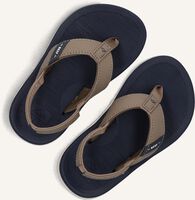Taupe REEF Teenslippers SANTA ANA KIDS Taupe REEF Teenslippers SANTA ANA KIDS - medium