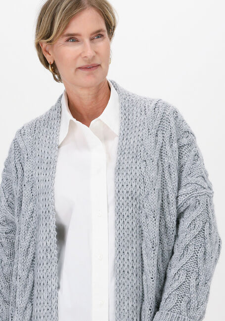 Grijze SIMPLE Vest PISO - large