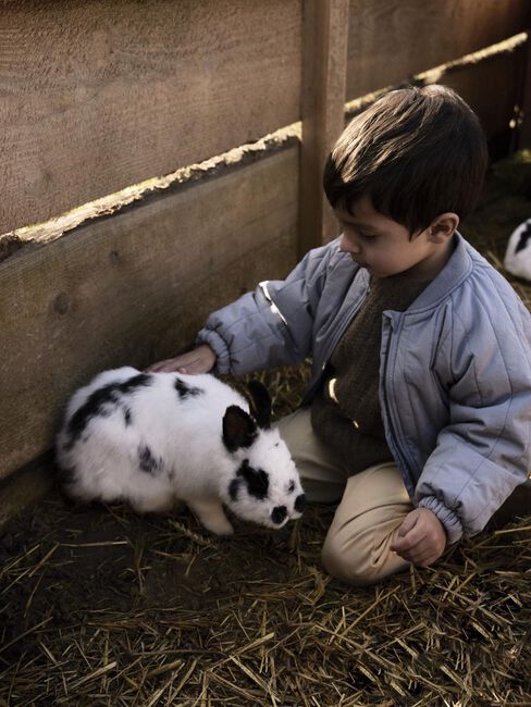 Grijze LIL' ATELIER Gewatteerde jas NMMLIO BOMBER JACKET LIL - large