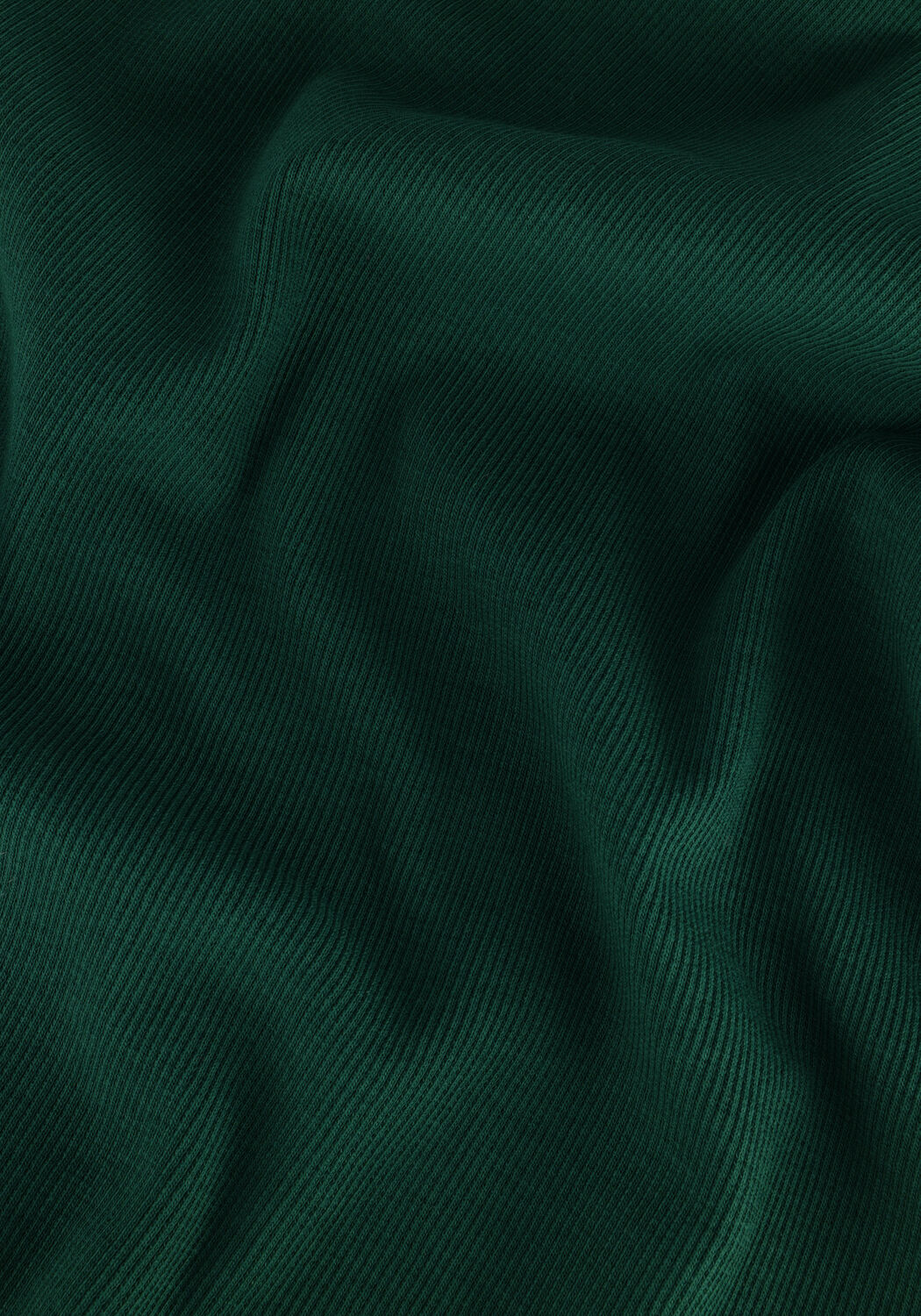 Groene ESM&Eacute; STUDIOS Coltrui BLOSSOM LS ROLL NECK - large