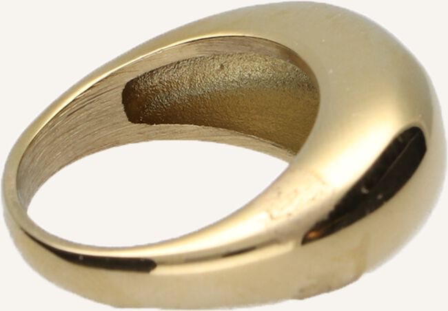 Goudkleurig NOTRE-V Ringen RING ZEGEL ONE SIZE Goudkleurig NOTRE-V Ringen RING ZEGEL ONE SIZE - large