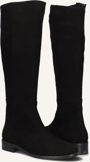 NOTRE-V 3496 NOTRE-V 3496 - large