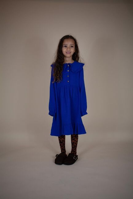 Blauwe DAILY BRAT Mini jurk FALLON DRESS WINTER NIGHT - large