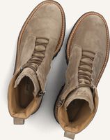 Beige PAUL GREEN Veterboots 8198 Beige PAUL GREEN Veterboots 8198 - medium