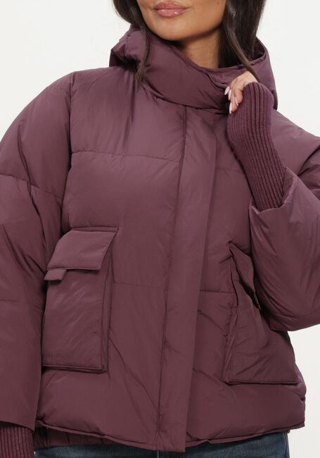 Bordeaux SILVIAN HEACH Gewatteerde jas PADDED JACKET NEDYALK - large