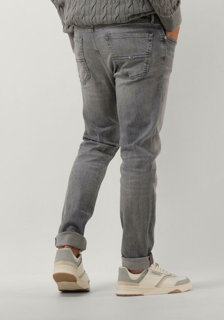 Grijze TOMMY JEANS Slim fit jeans AUSTIN SLIM TPRD DG1272 - large