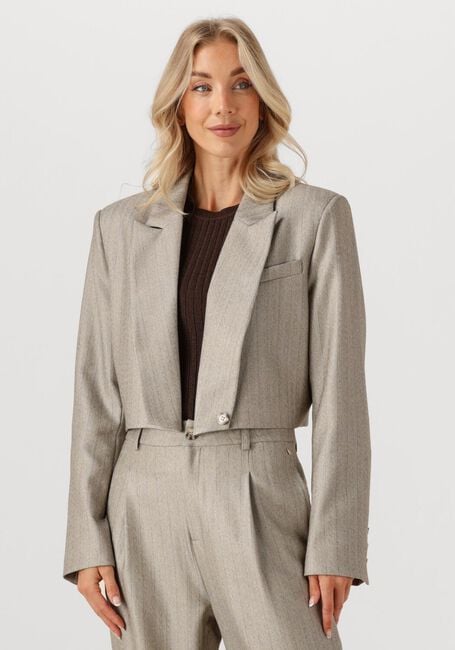 Lichtgrijze IBANA Blazer JELAH PINESTRIPE - large