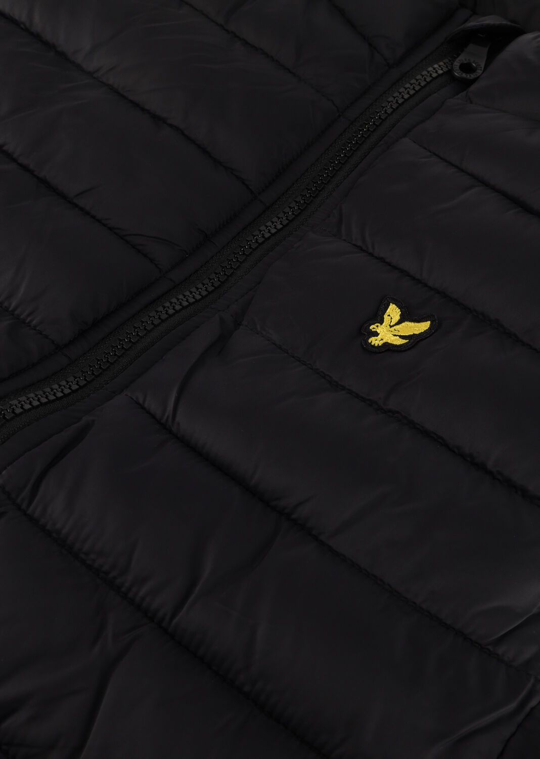 Zwarte LYLE & SCOTT Bodywarmer PADDED GILET - large