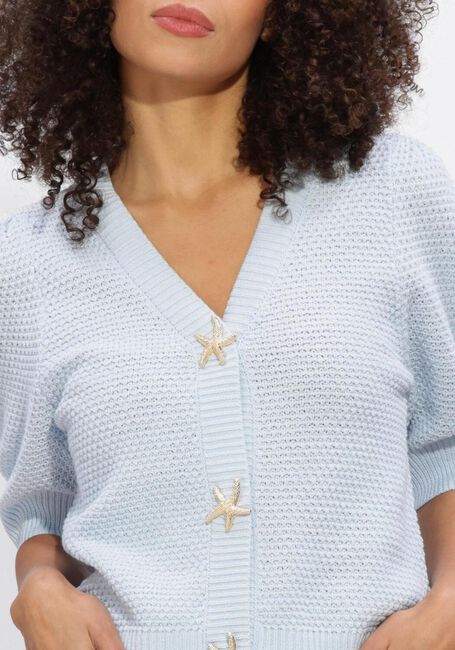 Lichtblauwe NOTRE-V Trui NV-HIDY - large