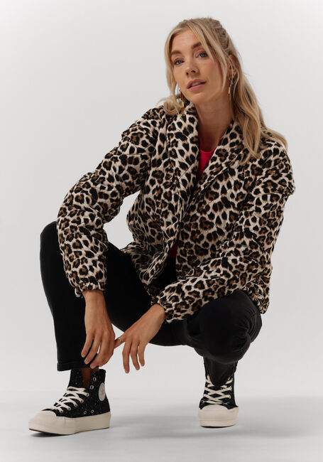 Bruine REFINED DEPARTMENT Jack JAY Bruine REFINED DEPARTMENT Jack JAY - large