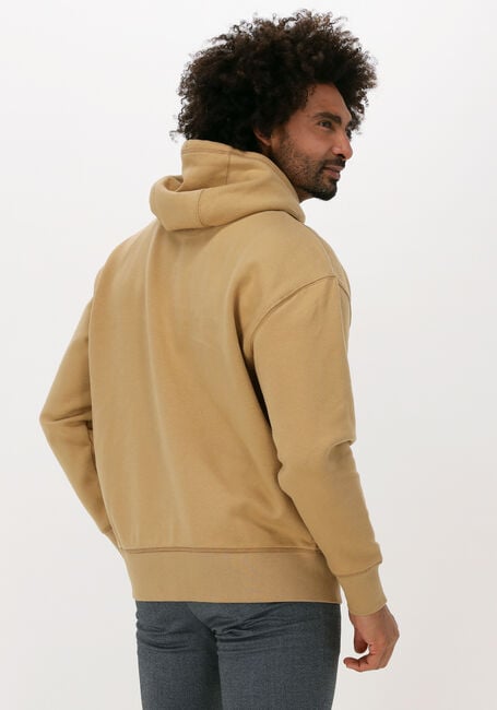 Khaki TOMMY JEANS Sweater TJM TINY TOMMY CIRCULAR HOODIE - large