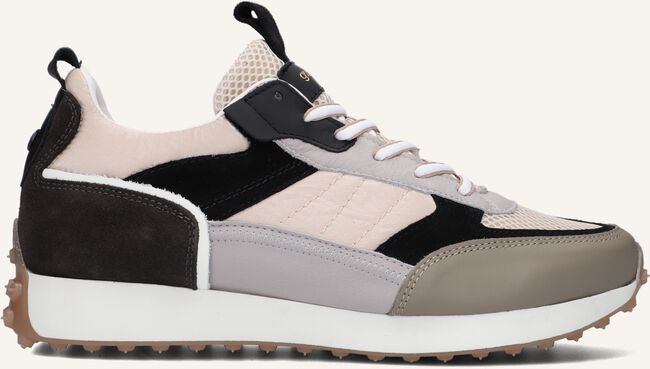 Multi GOOSECRAFT Lage sneakers DANE MEN Multi GOOSECRAFT Lage sneakers DANE MEN - large