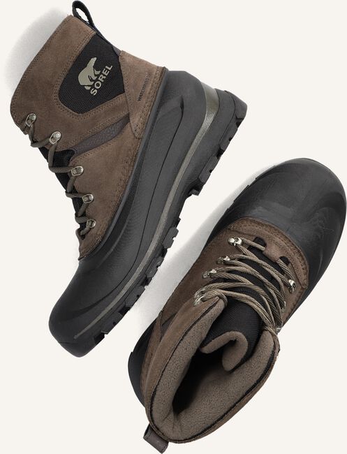 Bruine SOREL Veterboots BUXTON LACE WP Bruine SOREL Veterboots BUXTON LACE WP - large